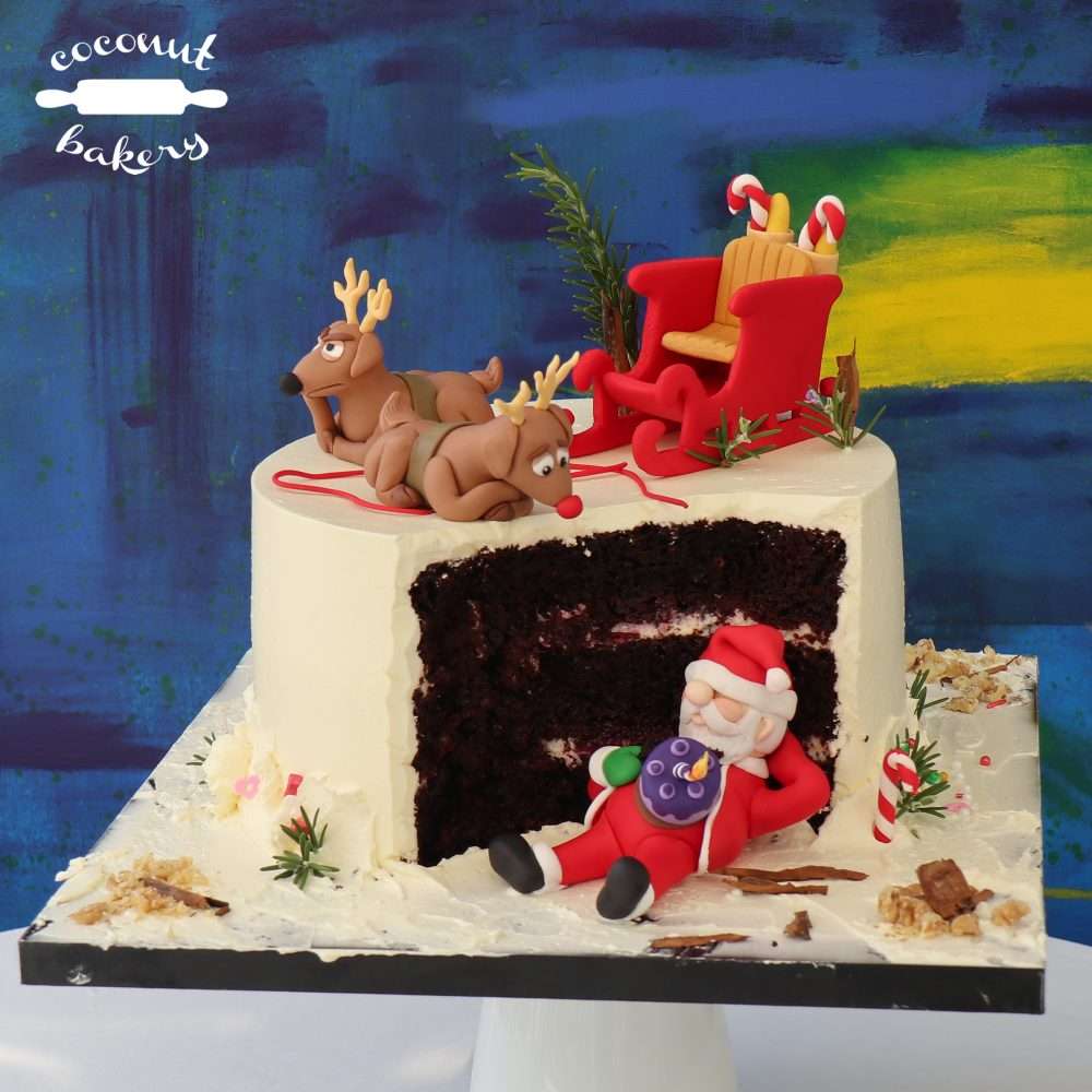 Santa Claus esta trayendo tu torta de cumpleaños!... Bueno, esa era su intención, parece que tuvo algún percance