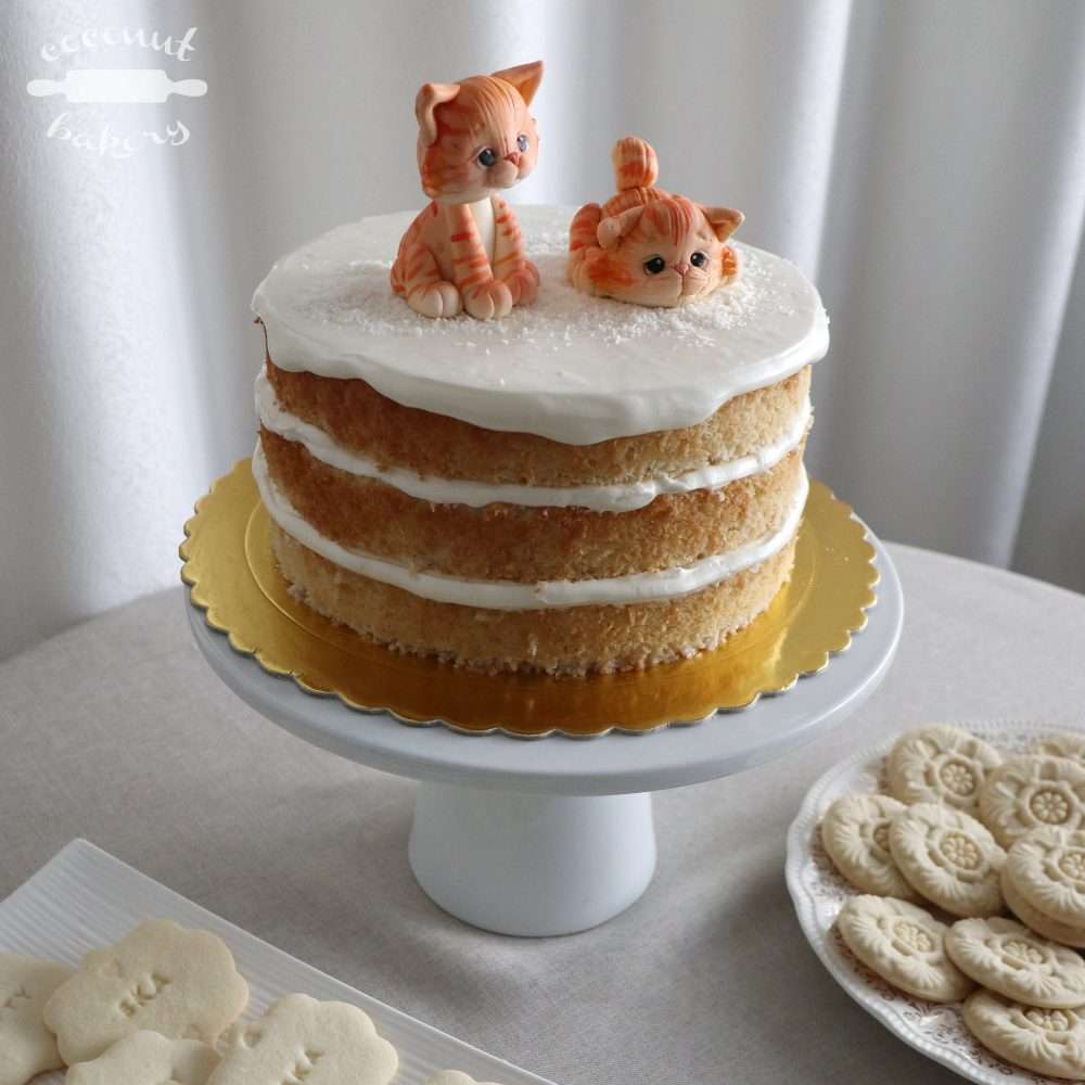 Gatitos naranja para festejar tu cumpleaños