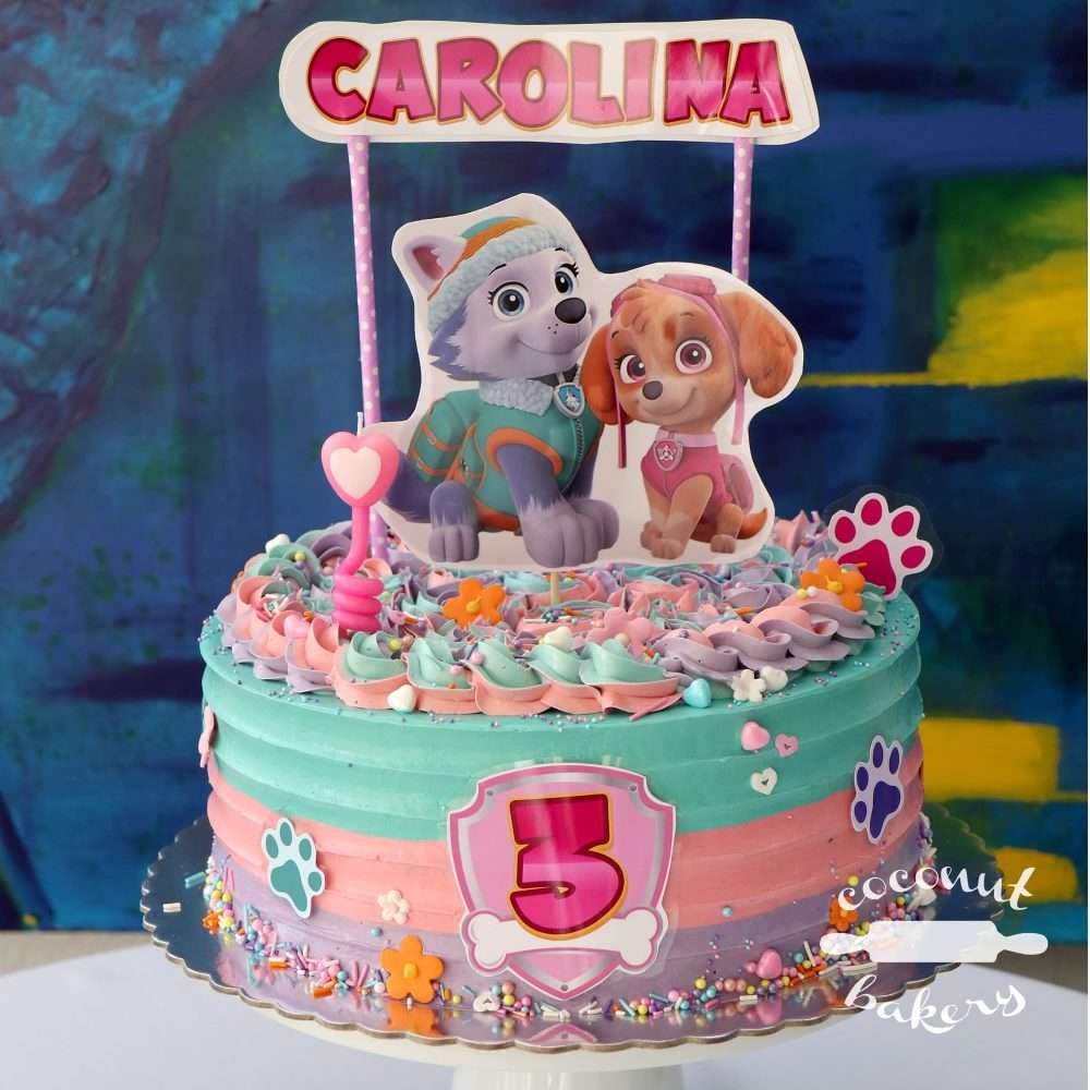 Paw patrol girl con Everest y Skye