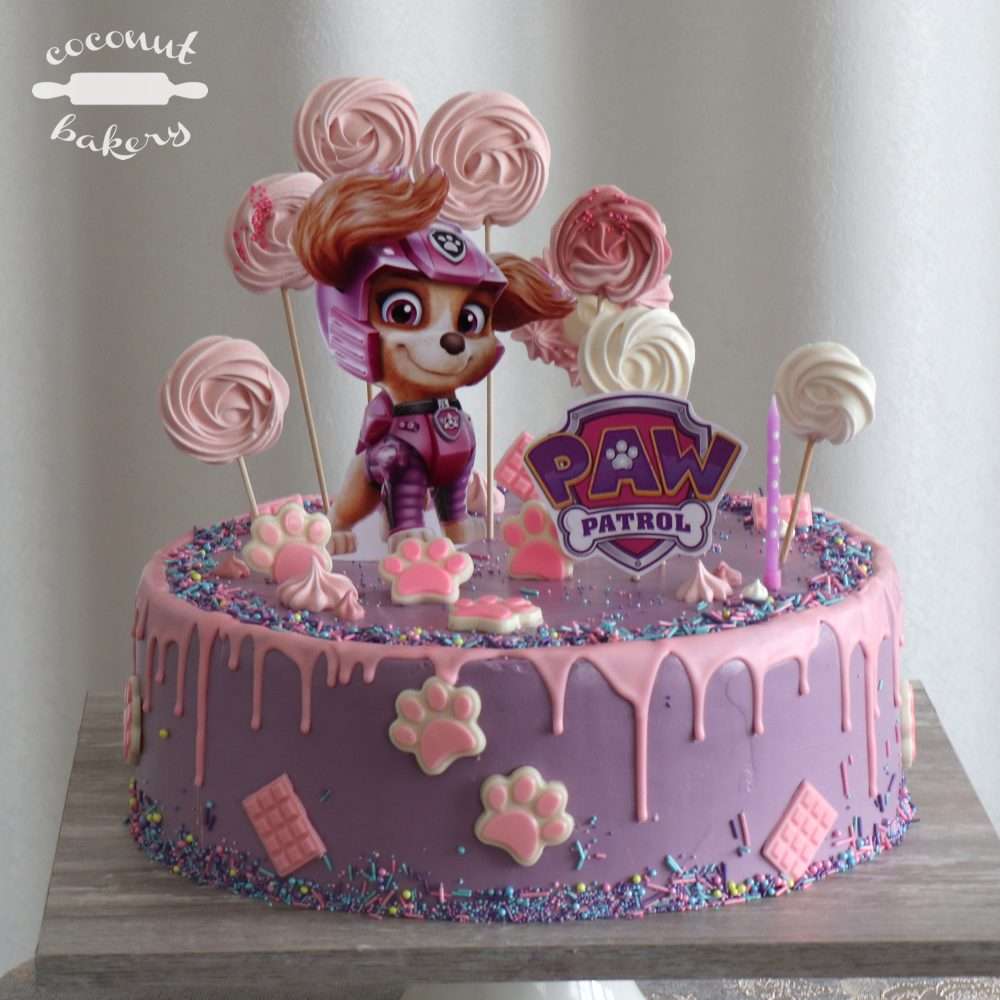 La energía de Skye para un cumple explosivo